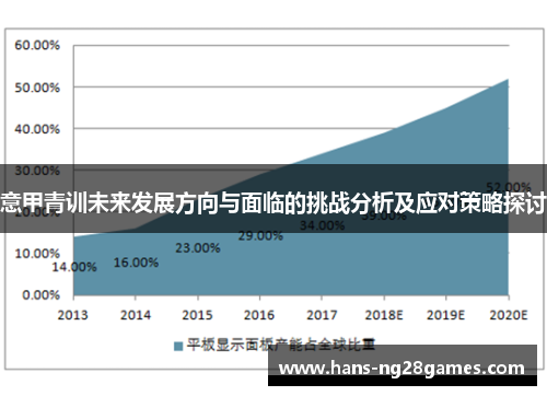 意甲青训未来发展方向与面临的挑战分析及应对策略探讨