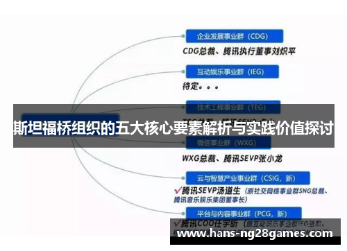 斯坦福桥组织的五大核心要素解析与实践价值探讨